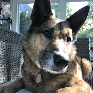 Fundraising Page: Kari Winters